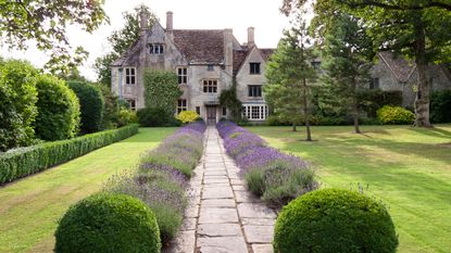 lavender lined pathway in tended garden at a stately home