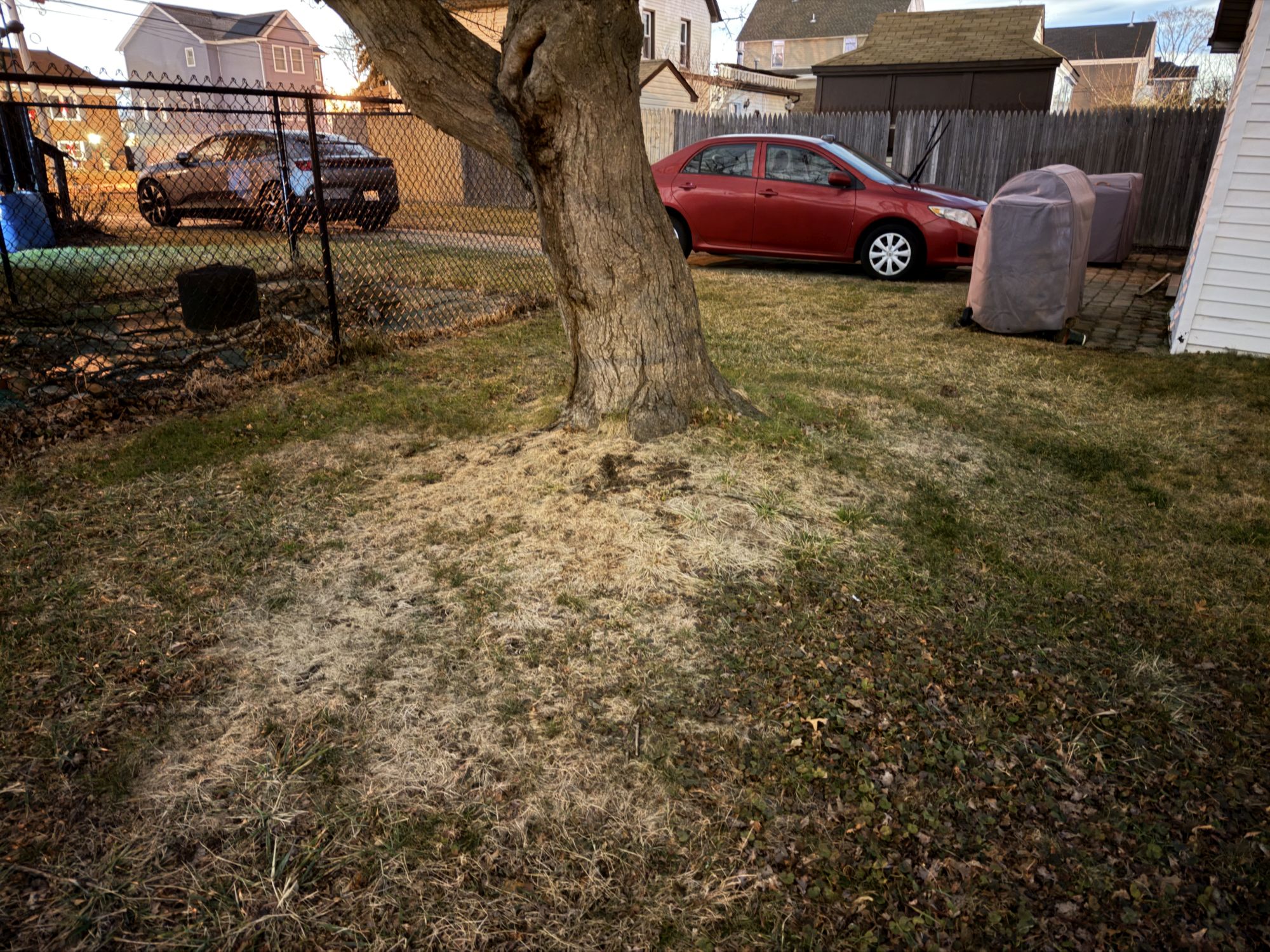 iPhone night mode max sample.