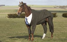Veteran racehorse Morestead models the world's first authentic Harris Tweed suit designed for a racing horse, which has been specially commissioned by William Hill to celebrate the opening of this year's Cheltenham Festival. Issue date: Monday March 14, 2016. The tweed suit was designed by former Alexander McQueen apprentice Emma Sandham-King and unveiled by 20-time champion jockey Sir Anthony McCoy. Statistician Dr Geoff Ellis found that on average 200 miles and seven furlongs (321.5km) of tweed are worn every year by spectators every year at Cheltenham Festival, which is enough to stretch from Cheltenham to Ireland. The festival kicks off on Tuesday 15th March 2016. Picture caption should read: Tim Anderson / Taylor Herring