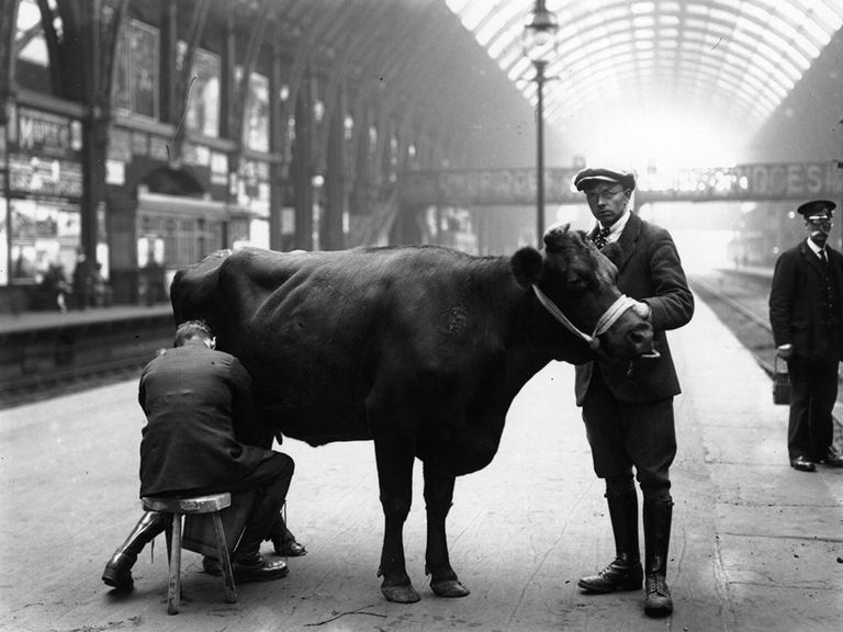 Vintage photographs from 1926 show what Britain looked like 90 years ...