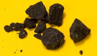 Fragments of the Sutter’s Mill Meteorite