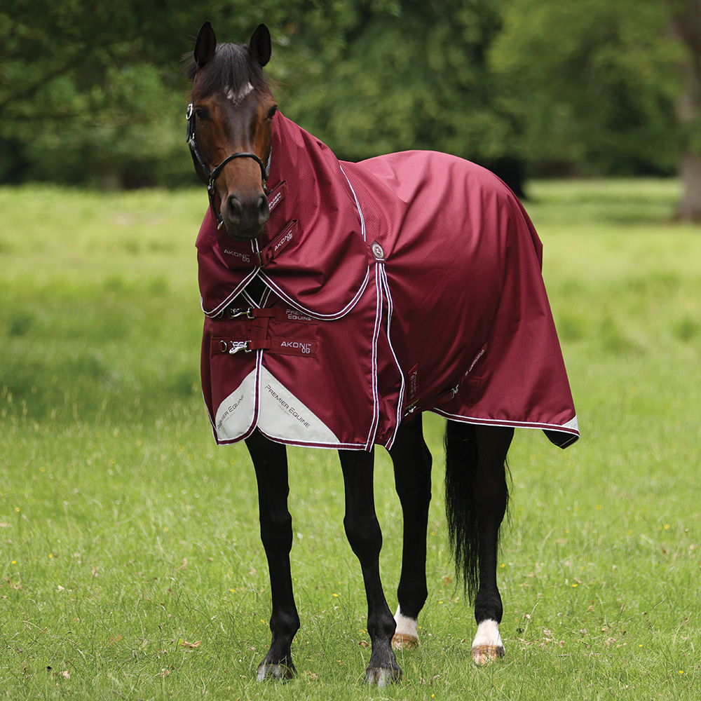 Horse out in a field wearing Premier Equine Akoni 0g Turnout Rug