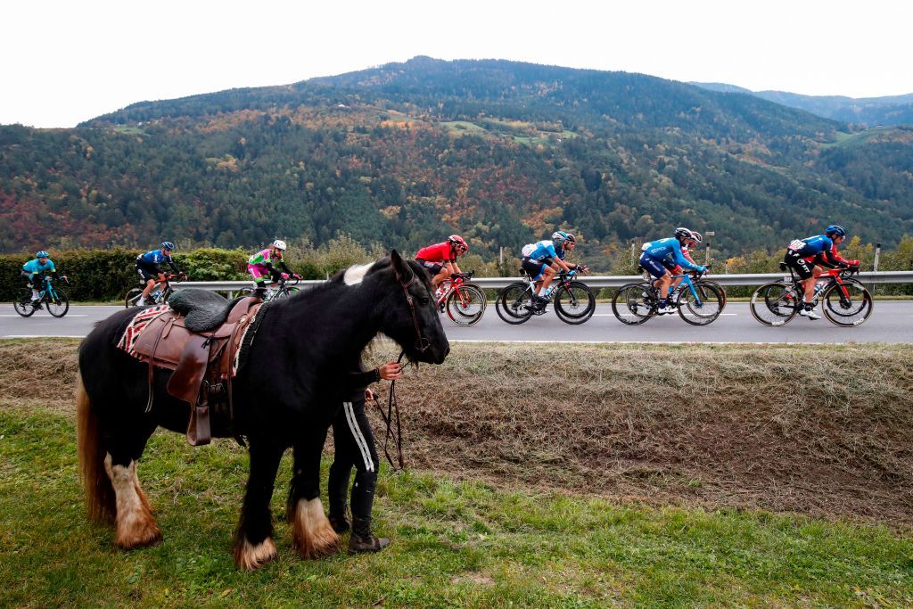 The pack rides past a person with a horse on the roadside during the 18th stage of the Giro dItalia 2020 cycling race a 207kilometer route between Pinzolo and Laghi di Cancano on October 22 2020 Photo by Luca Bettini AFP Photo by LUCA BETTINIAFP via Getty Images