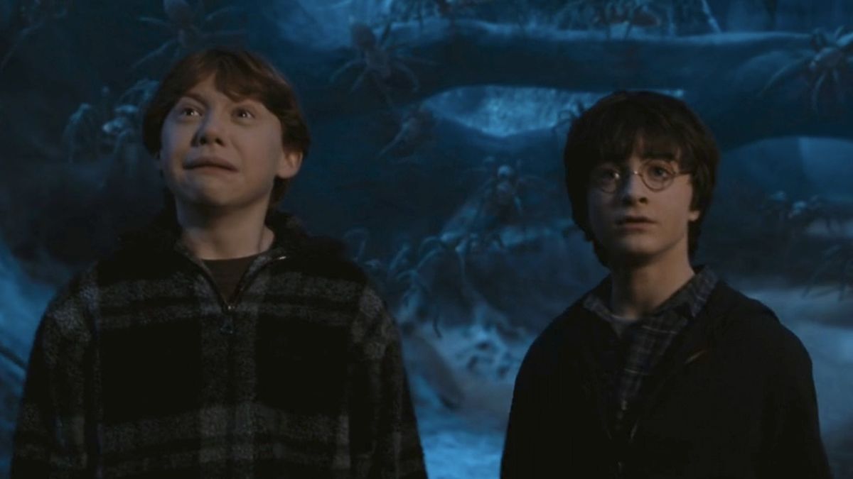 34 Major Challenges Harry Potter Had To Overcome | Cinemablend