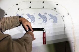 Door of Blue Origin reusable rocket crew capsule, with four gray turtle drawings.
