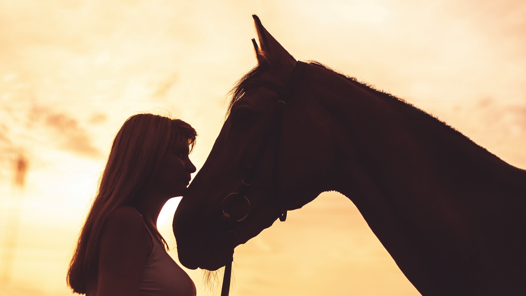 A silhouette of a woman and a horse