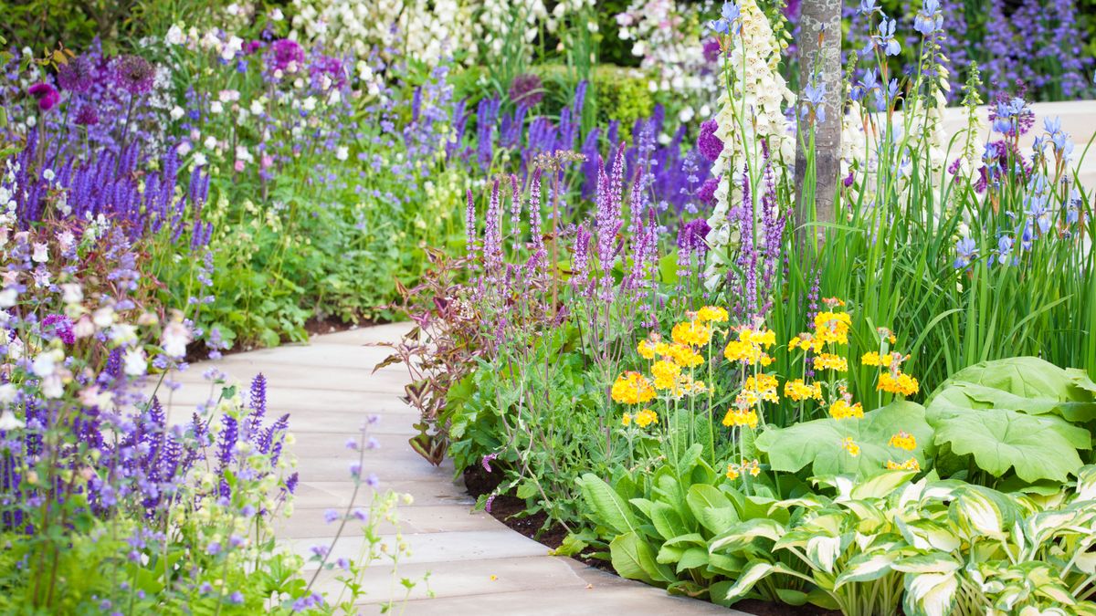 'Right Plant, Right Place' – Even If You Don't Take Any Other Gardening Advice, You Should Follow This One Simple Rule