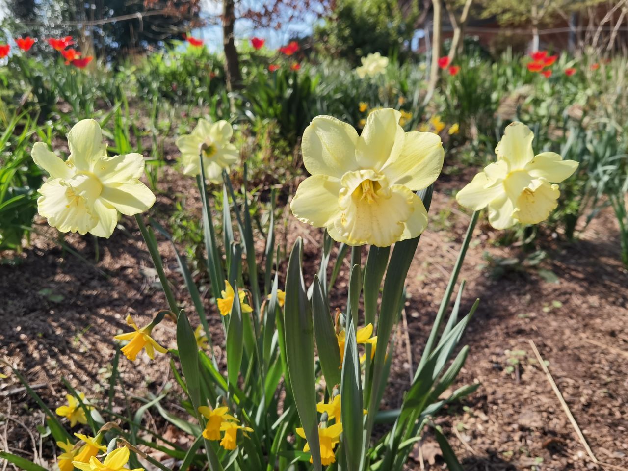 Huawei P40 Pro camera samples