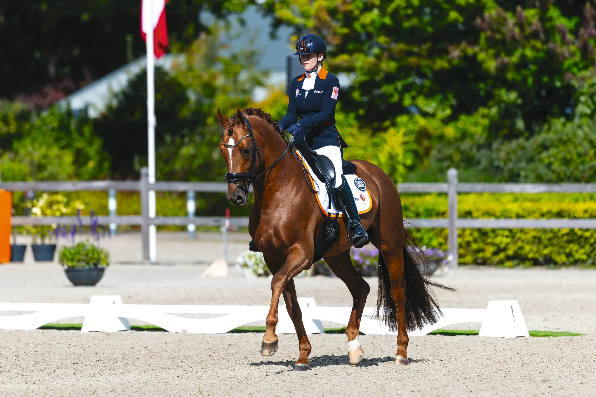 FEI European Championship Para Dressage 2025 - Ermelo (NED)Rixt van der Horst (NED) rides on Eisma&amp;rsquo;s Royal Font N.O.P.FEI European Championship Para Dressage Ermelo 2025&amp;copy; FEI/Leanjo de Koster
