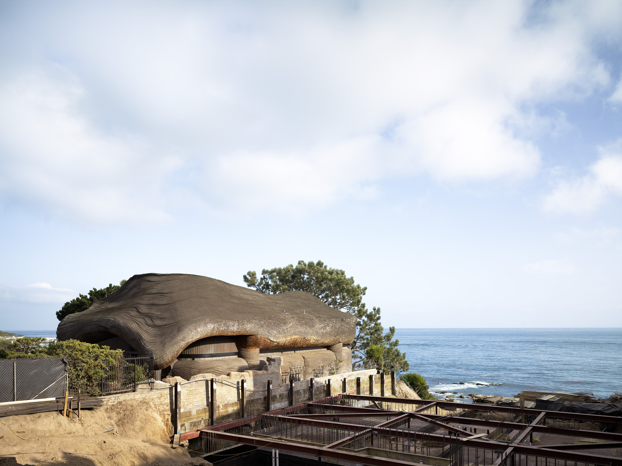 the flowing organic architecture work by Bart Prince