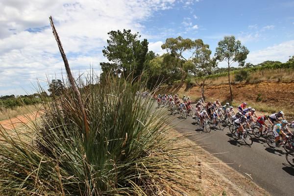 Riders pass the distinctive native flora of Australia
