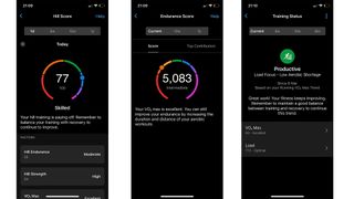 Screenshots showing metrics from Garmin Fenix 8