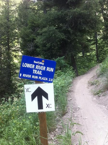The lower part of the cross country course goes here.