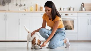 Young Korean woman patting her dog in the kitchen while he eats
