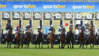 Horses under starters orders ahead of the Melbourne Cup live stream
