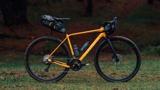 An orange bike side on in some woodland with bikepacking bags attached