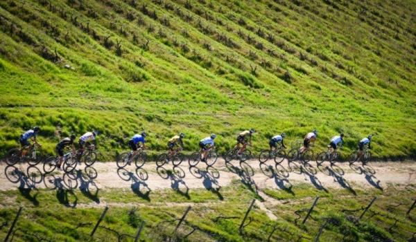 The peloton