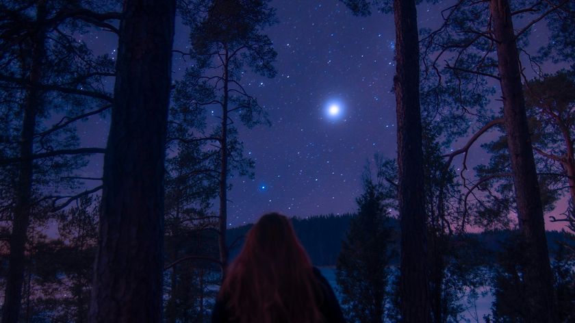 A person looks at a bright star over a wintry landscape
