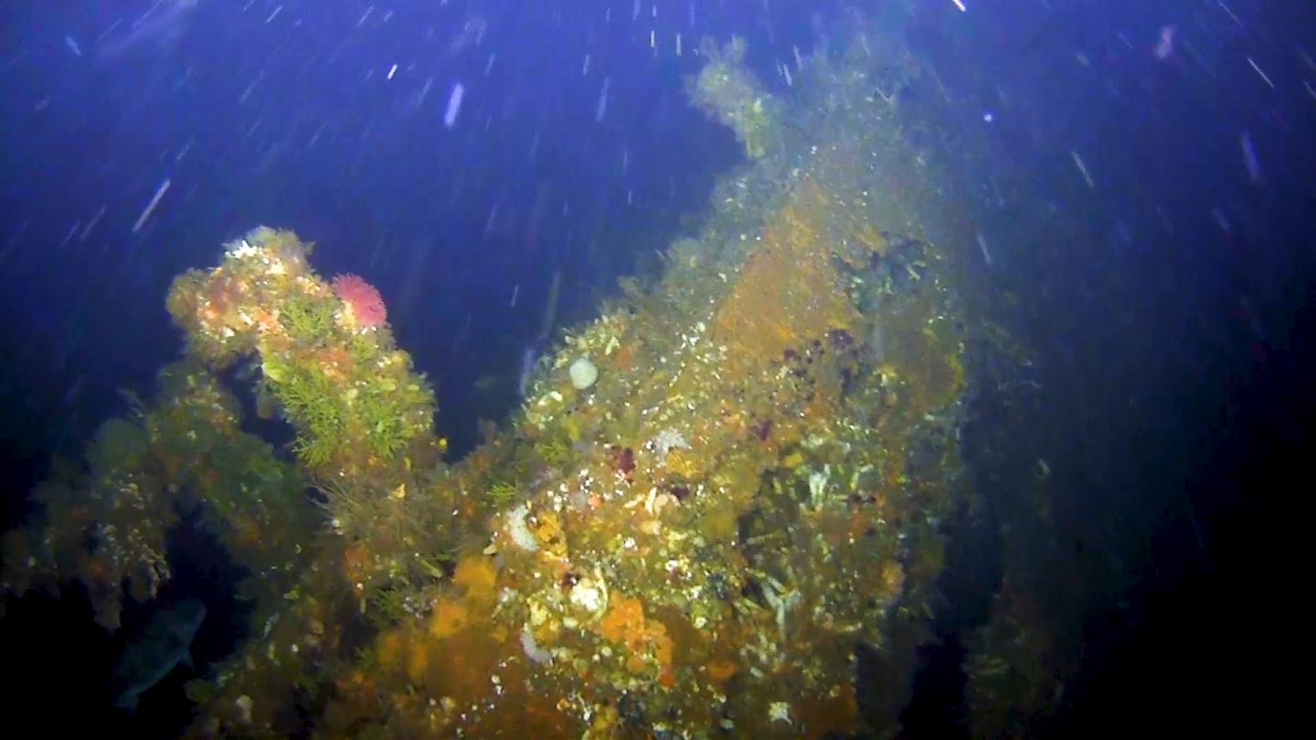 Hunk of Destroyed WWII Battleship Discovered Off the Coast of Alaska ...