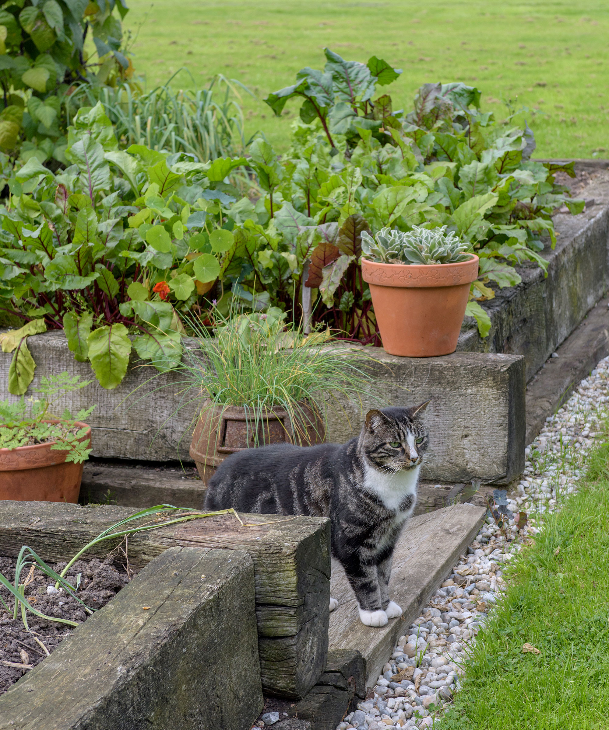 Flower bed ideas: Beautiful ways to create floral displays