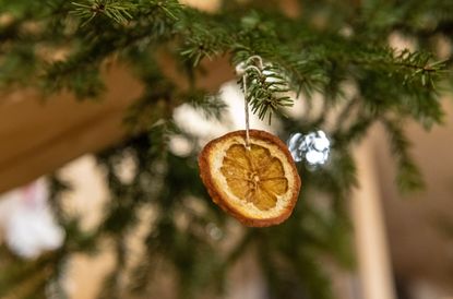 decorated dried orange on christmas tree