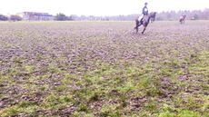 Tweseldown-cancellation-IMG_5023.jpg