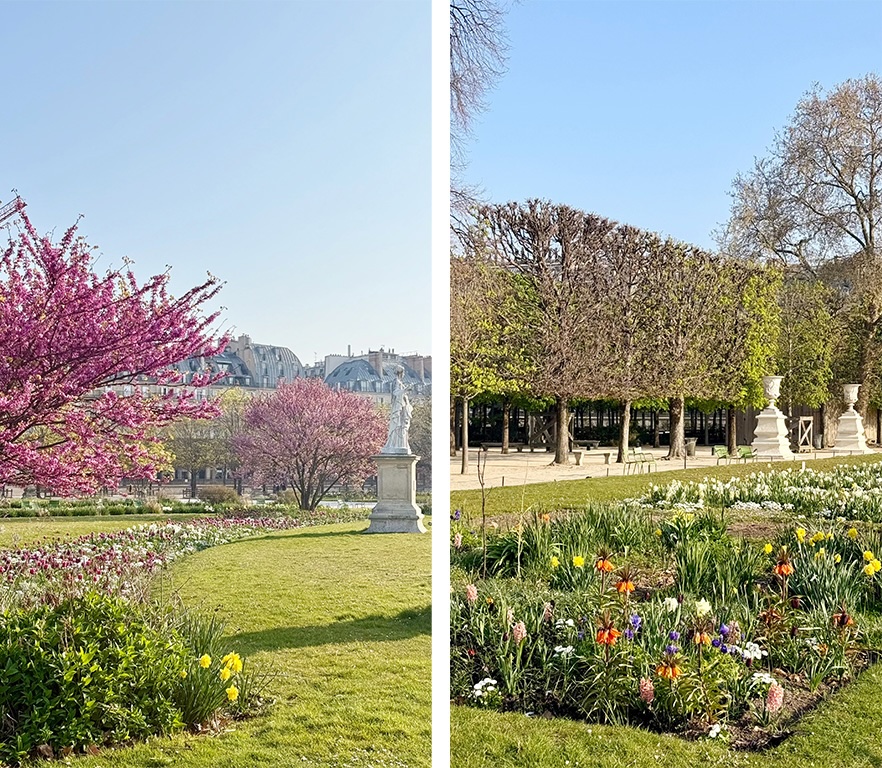 Tuileries Garden flower beds