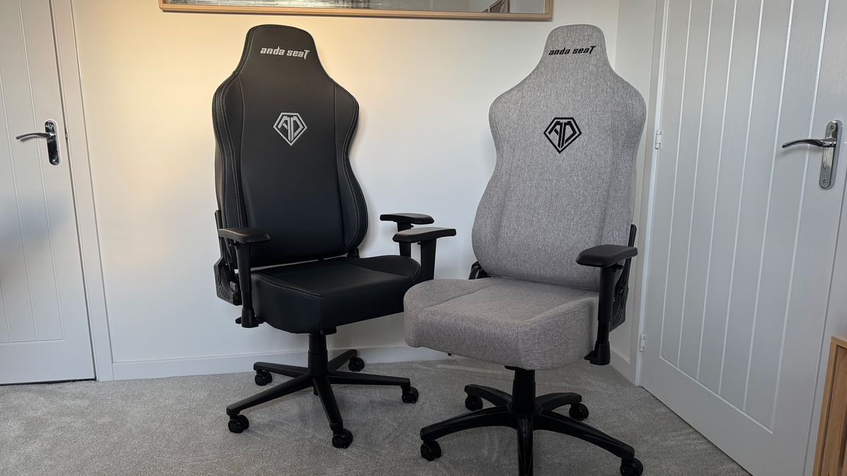 Two AndaSeat Novis gaming chairs next to one another