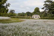 A house created by Adam Architecture, a firm which has been on the Country Life Top 100 list since it began.