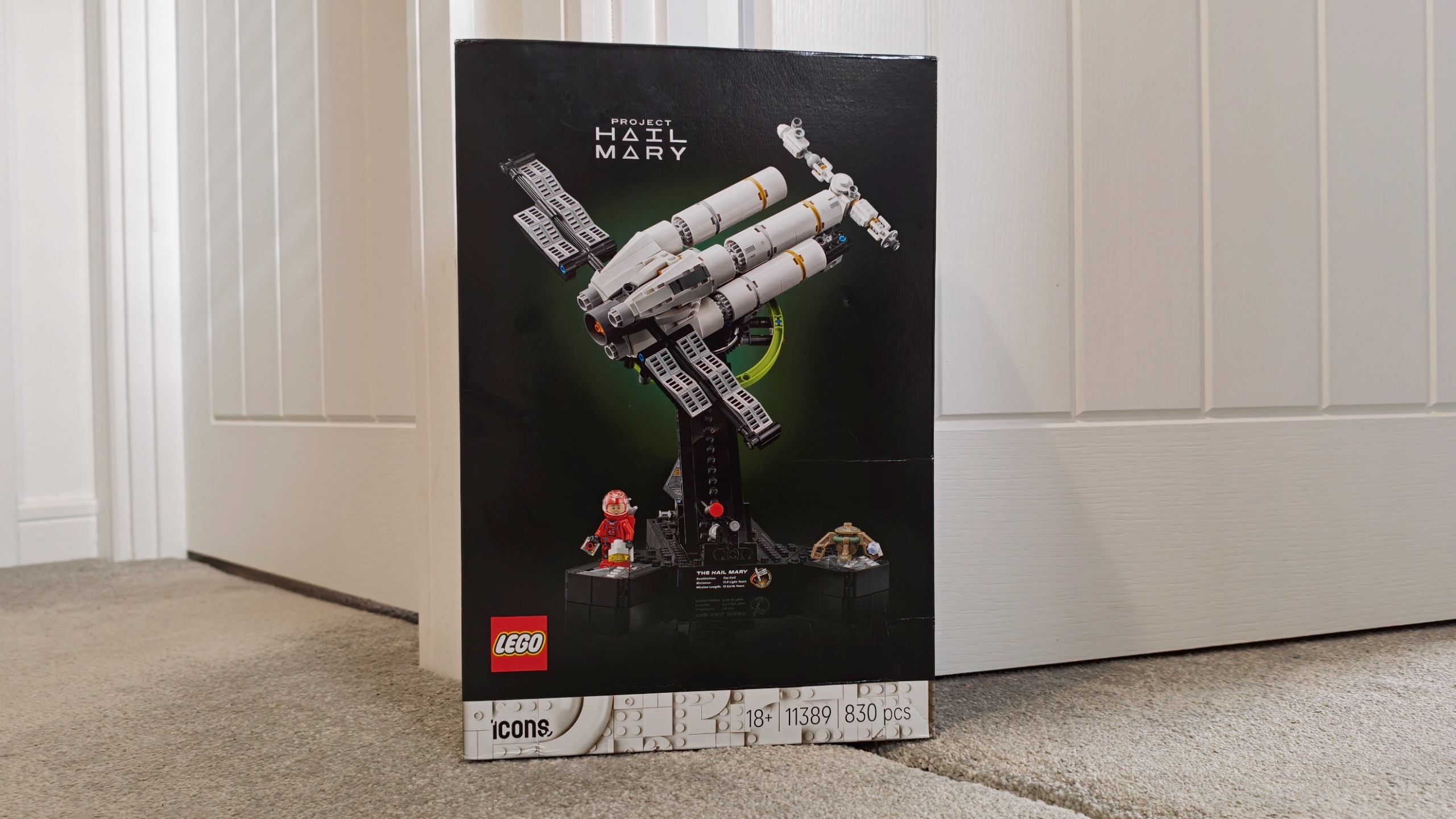No idea where I'm going to put it, though...