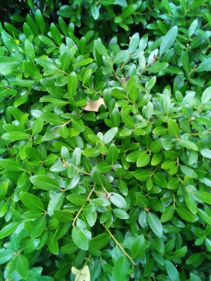 Amazon Fire Hd 10 2021 Camera Sample 7