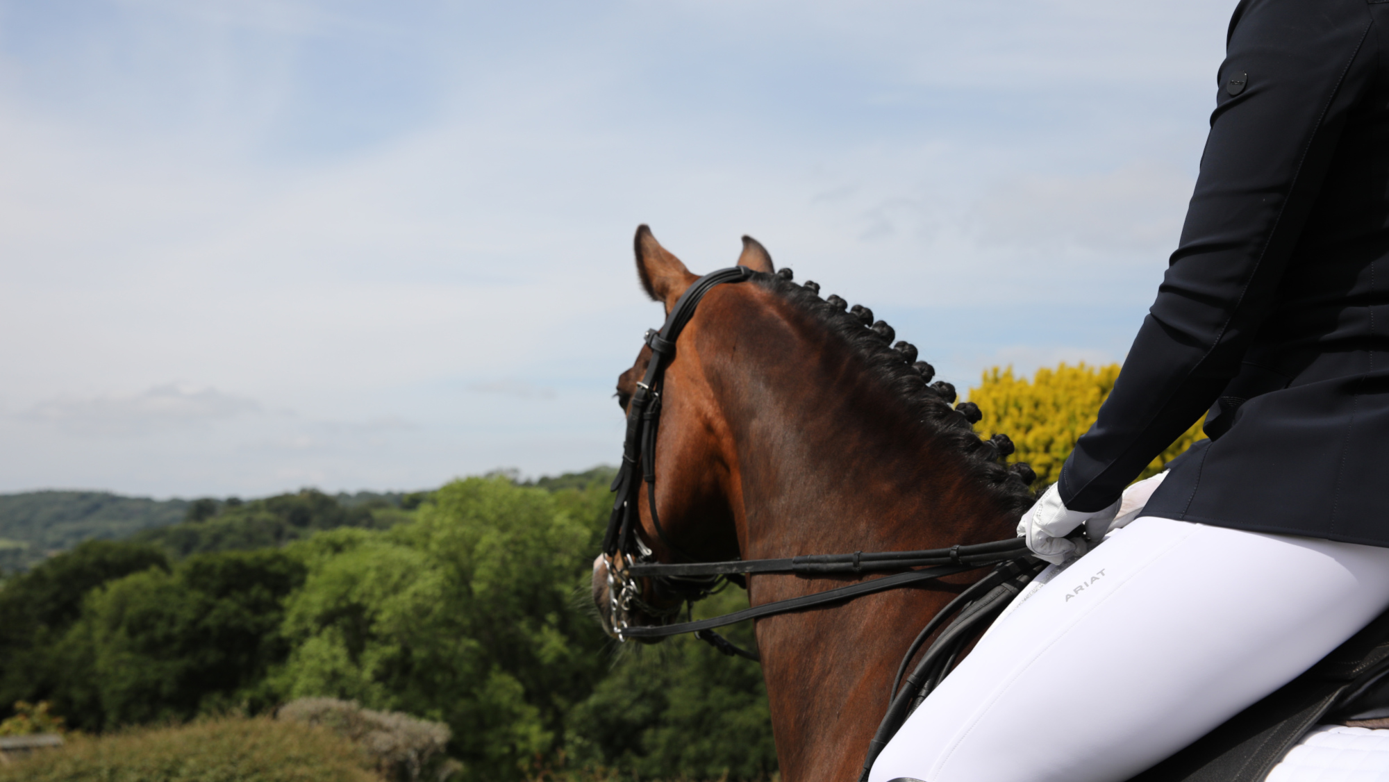 Pictured a dressage horse and rider. 