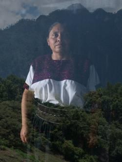 Chiapas weaver