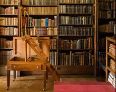 Elizabethen library with vaulted ceiling and folding step ladder