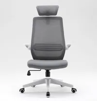 Get the Sihoo M76A ergonomic office chair with headrest for $90 at Sihoo.com