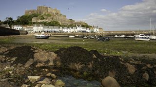 Low-tide landscapes