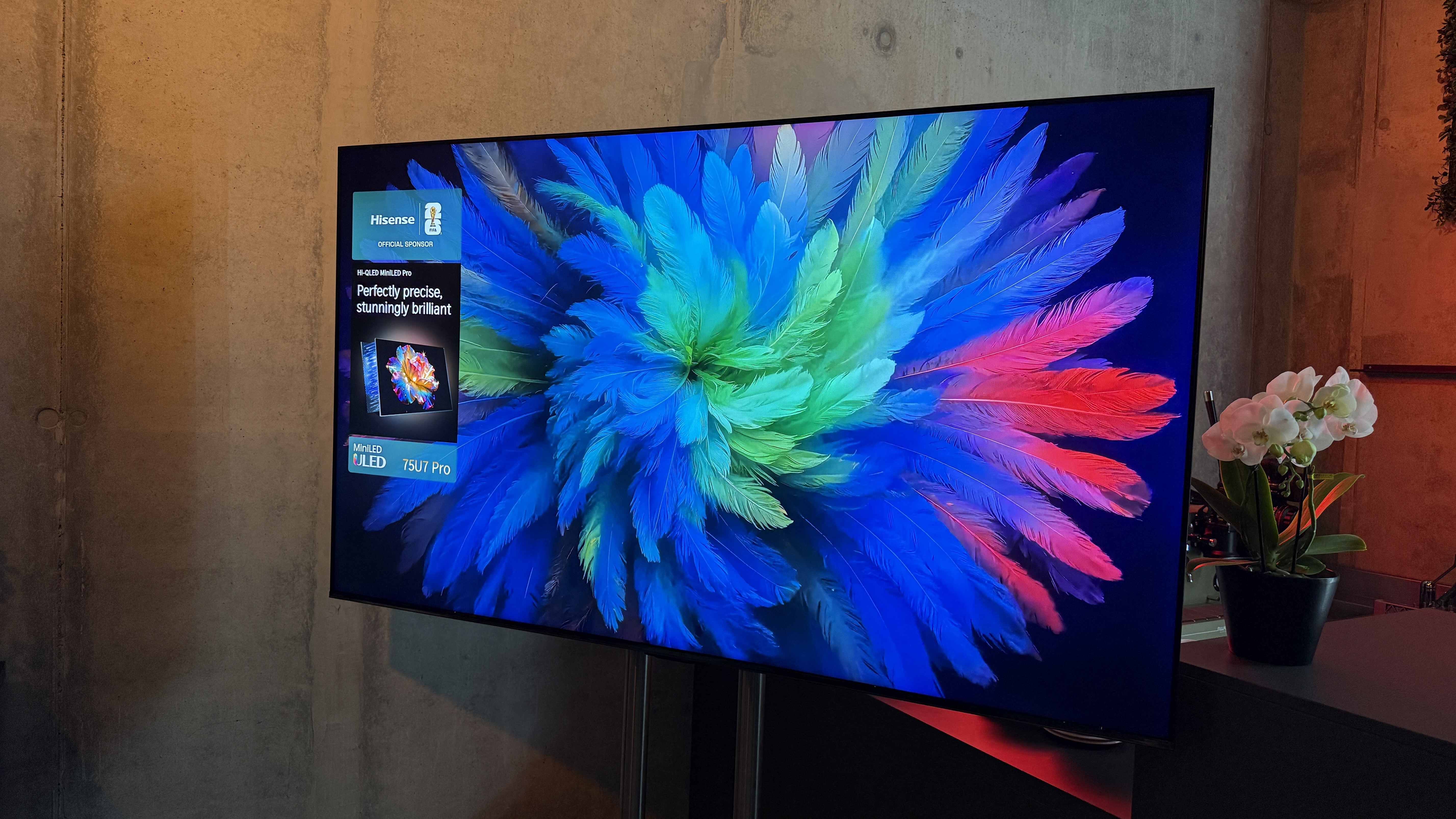 The Hisense U7S Pro showing a colorful range of feathers on the screen, showing the richness of its display