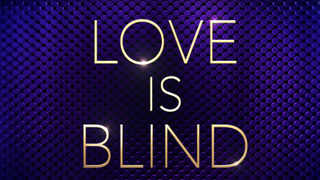 love is blind season 2 logo netflix