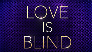 the love is blind season 2 logo