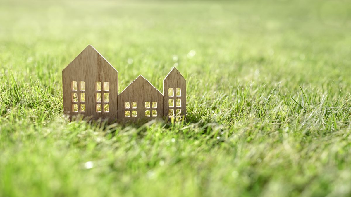 Grass in field with wooden model of house on it