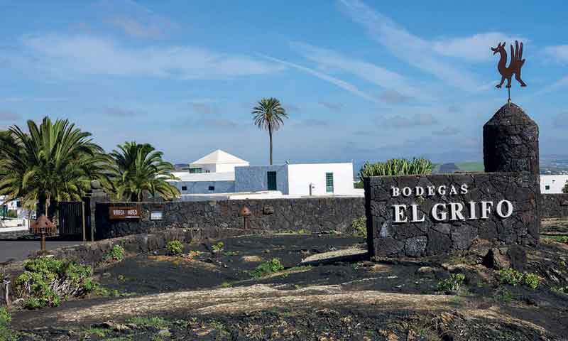 Bodegas El Grifo
