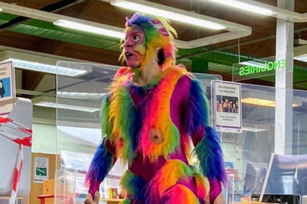 A rainbow monkey