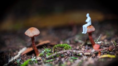 A little person perches on a mushroom.
