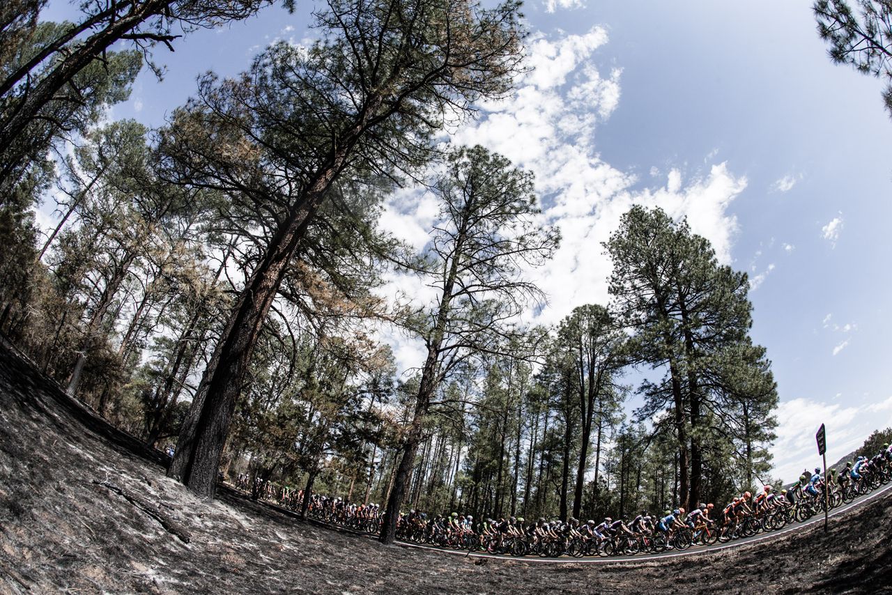 The peloton passes through an area wrecked by wildfire