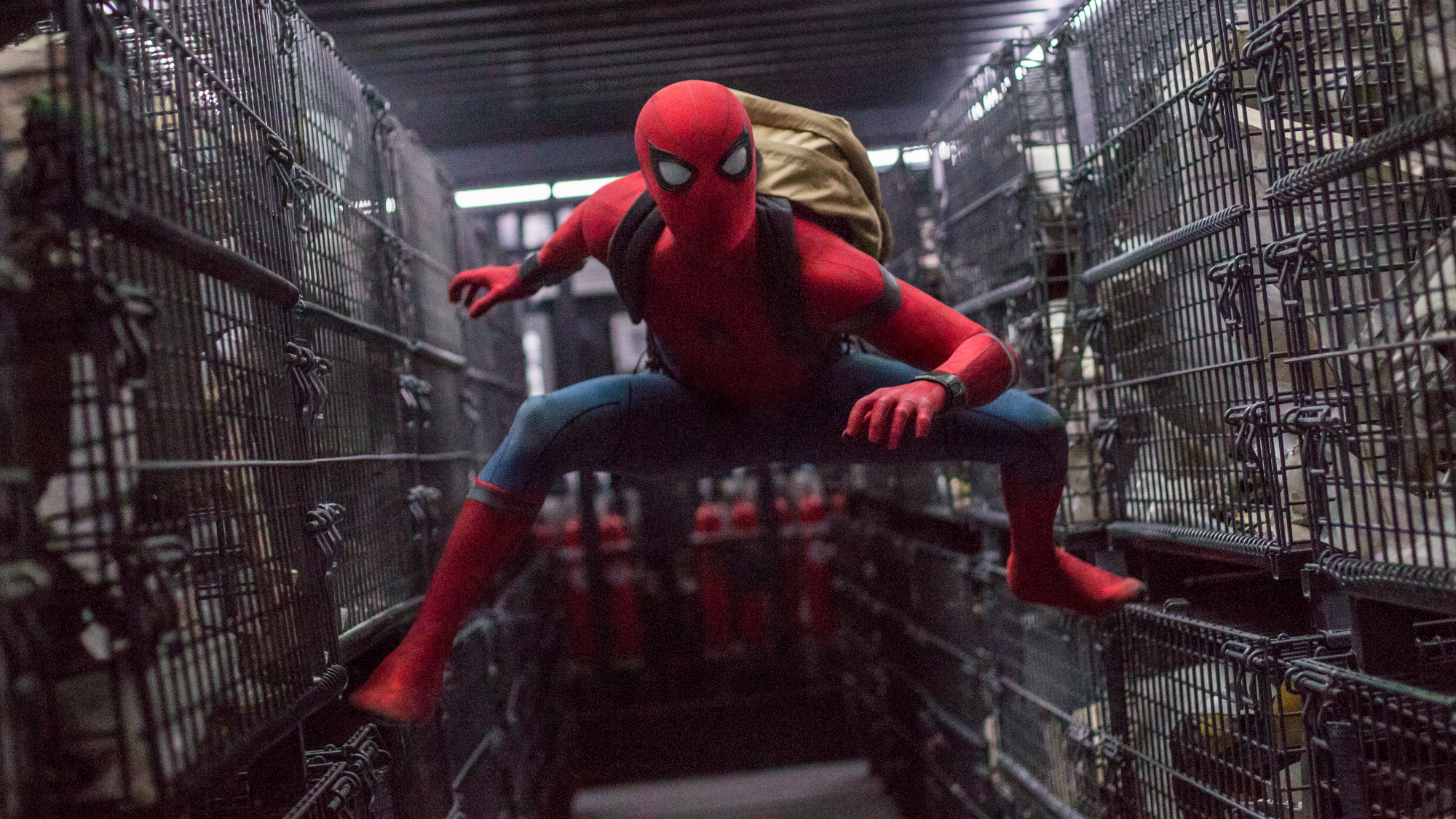 Spider-Man (Tom Holland) stands around cages in Spider-Man: Homecoming.