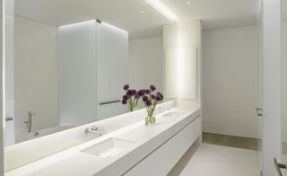 The model master bathroom showcase