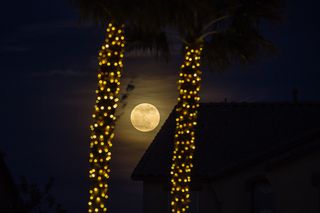 The supermoon of Jan. 1, 2018 shines between two festively lit palm trees as it rises over Las Vegas, Nevada in this image by photographer Tyler Leavitt taken on Jan. 1, 2018. It was the biggest full moon of 2018.