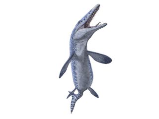 Tylosaurus