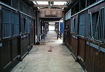Toby-Coles-stables.JPG