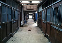 Toby-Coles-stables.JPG